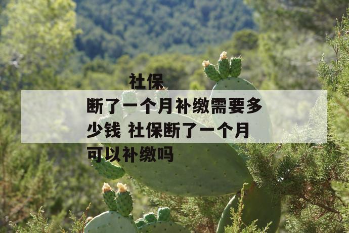 
       社保断了一个月补缴需要多少钱 社保断了一个月可以补缴吗
     