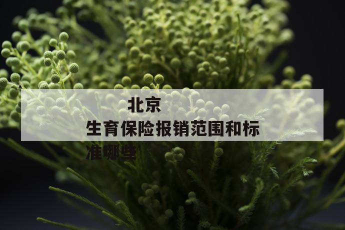 
       北京生育保险报销范围和标准哪些
     