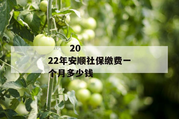 
       2022年安顺社保缴费一个月多少钱
     