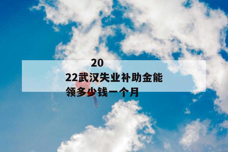 
       2022武汉失业补助金能领多少钱一个月
     