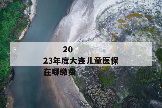 
       2023年度大连儿童医保在哪缴费
     