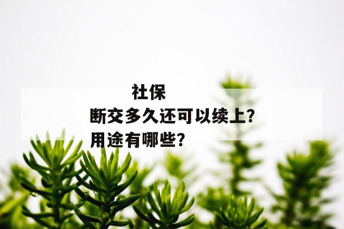 
       社保断交多久还可以续上？用途有哪些？
     