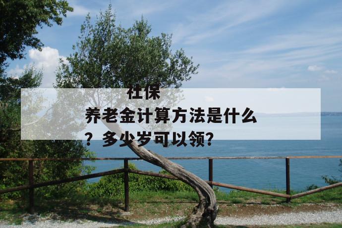 
       社保养老金计算方法是什么？多少岁可以领？
     