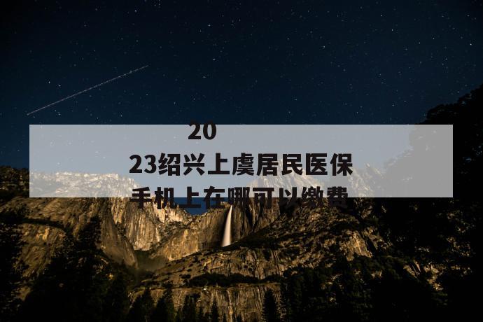 
       2023绍兴上虞居民医保手机上在哪可以缴费
     