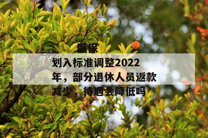 
       医保划入标准调整2022年，部分退休人员返款减少，待遇会降低吗
     