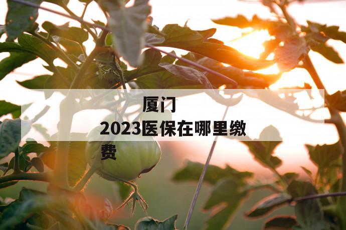 
       厦门2023医保在哪里缴费
     