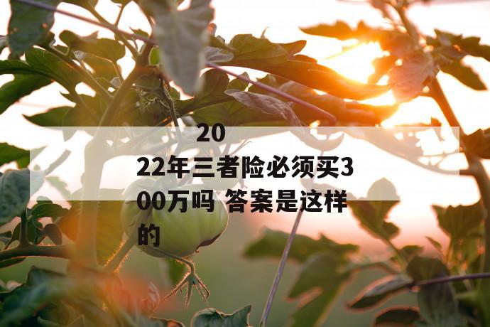 
       2022年三者险必须买300万吗 答案是这样的
     