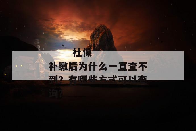 
       社保补缴后为什么一直查不到？有哪些方式可以查询？
     