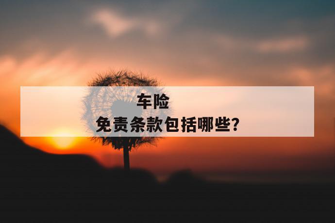 
       车险免责条款包括哪些？
     