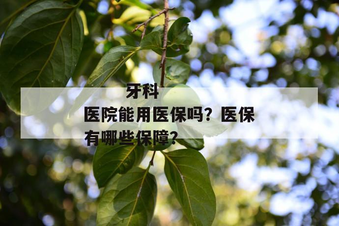 
       牙科医院能用医保吗？医保有哪些保障？
     