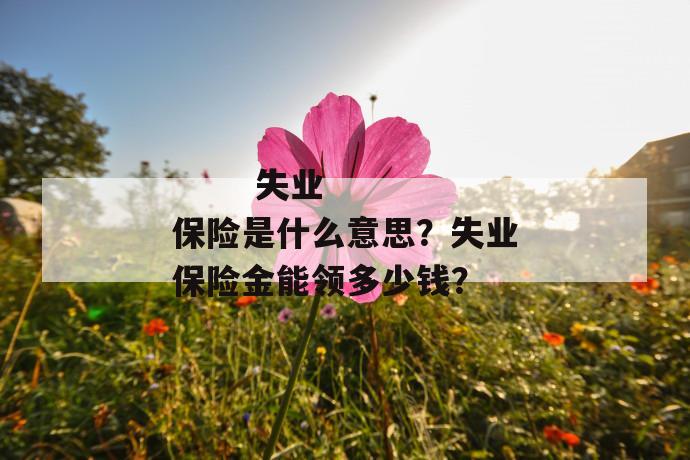 
       失业保险是什么意思？失业保险金能领多少钱？
     