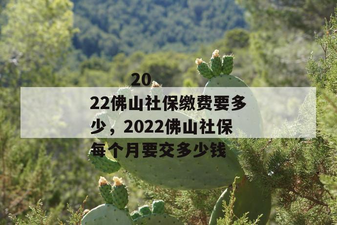 
       2022佛山社保缴费要多少，2022佛山社保每个月要交多少钱
     