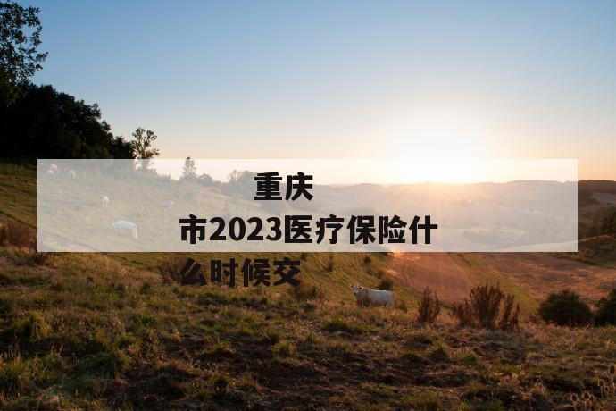 
       重庆市2023医疗保险什么时候交
     