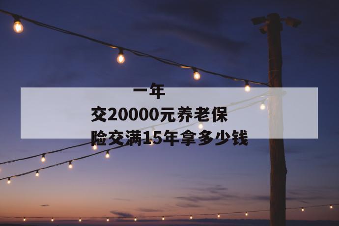 
       一年交20000元养老保险交满15年拿多少钱
     