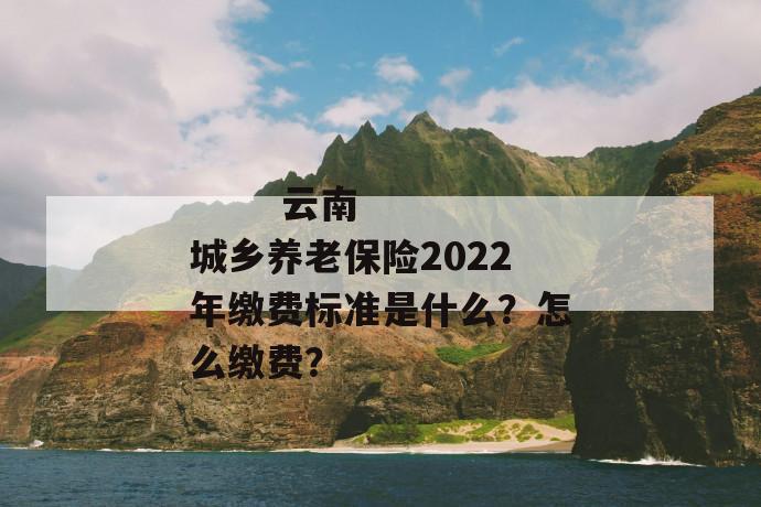 
       云南城乡养老保险2022年缴费标准是什么？怎么缴费？
     