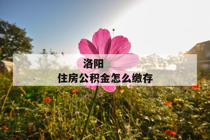 
       洛阳住房公积金怎么缴存
     