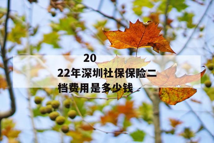 
       2022年深圳社保保险二档费用是多少钱
     