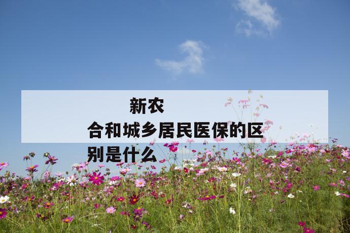 
       新农合和城乡居民医保的区别是什么
     