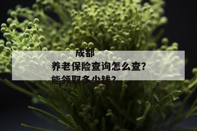 
       成都养老保险查询怎么查？能领取多少钱？
     