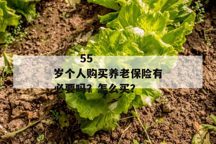 
       55岁个人购买养老保险有必要吗？怎么买？
     