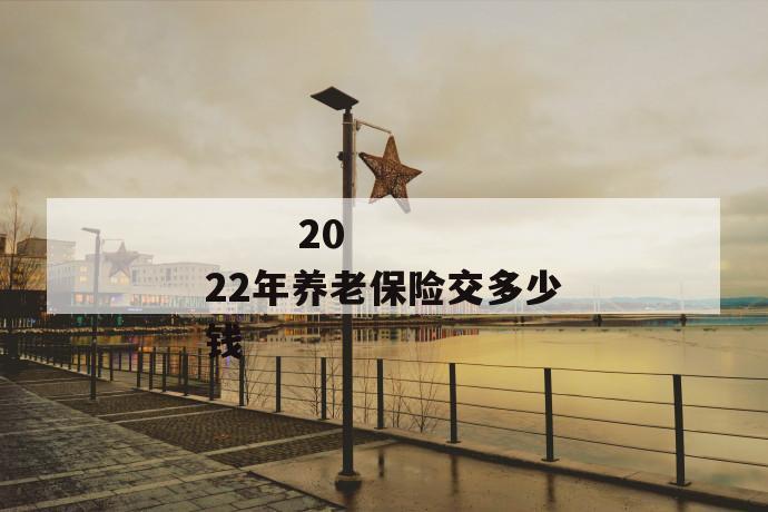 
       2022年养老保险交多少钱
     