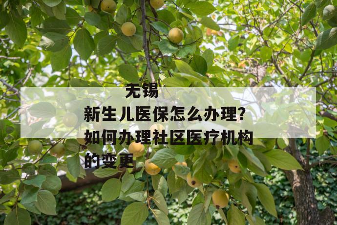 
       无锡新生儿医保怎么办理？如何办理社区医疗机构的变更
     