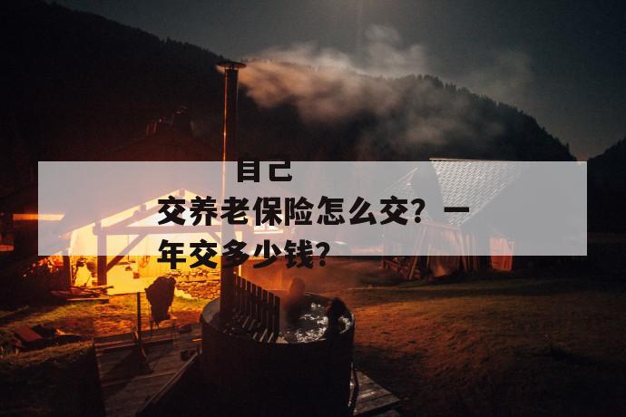 
       自己交养老保险怎么交？一年交多少钱？
     