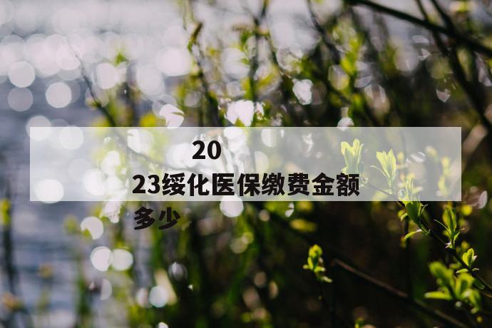 
       2023绥化医保缴费金额多少
     