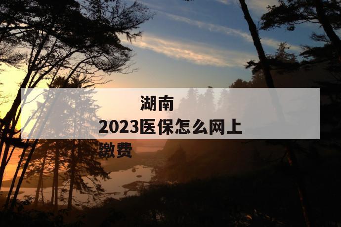 
       湖南2023医保怎么网上缴费
     