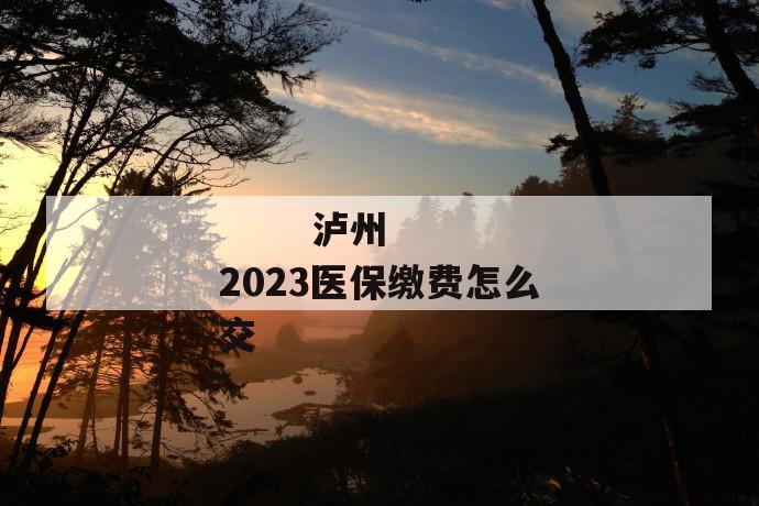 
       泸州2023医保缴费怎么交
     