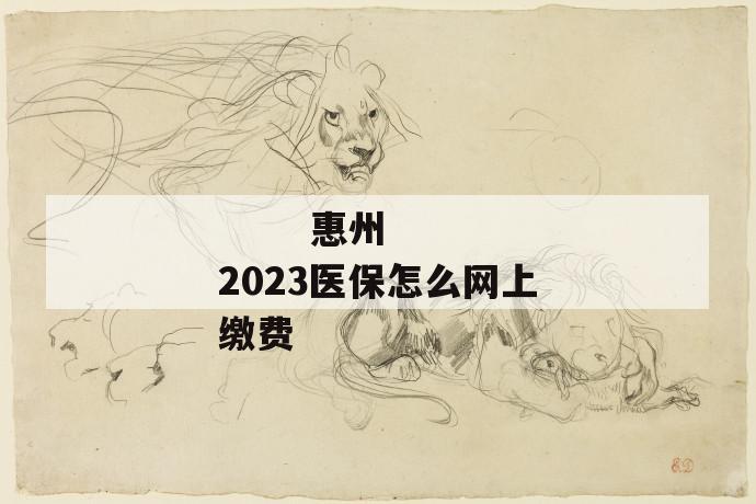 
       惠州2023医保怎么网上缴费
     