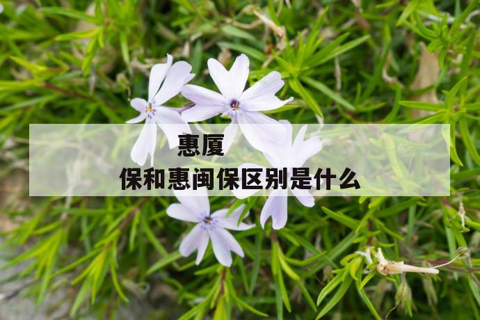 
       惠厦保和惠闽保区别是什么
     