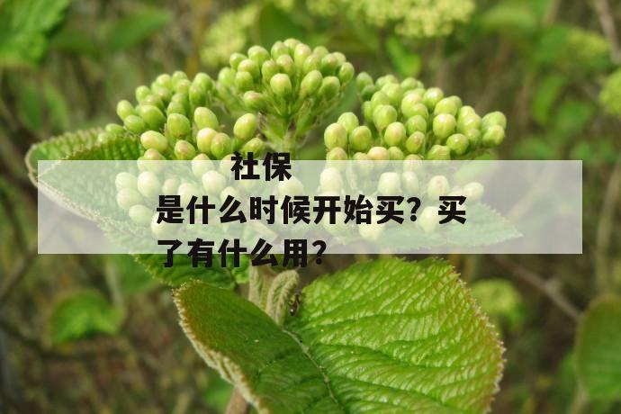 
       社保是什么时候开始买？买了有什么用？
     