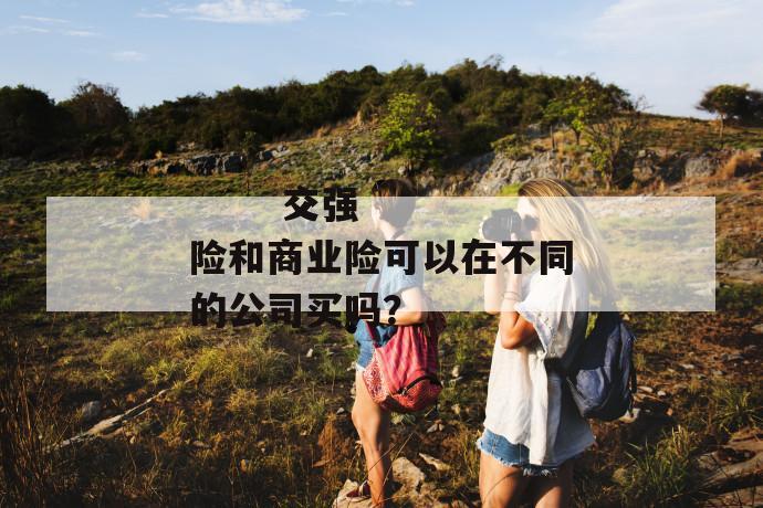 
       交强险和商业险可以在不同的公司买吗？
     