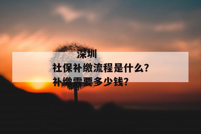 
       深圳社保补缴流程是什么？补缴需要多少钱？
     