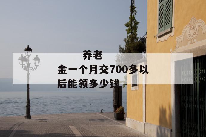 
       养老金一个月交700多以后能领多少钱
     